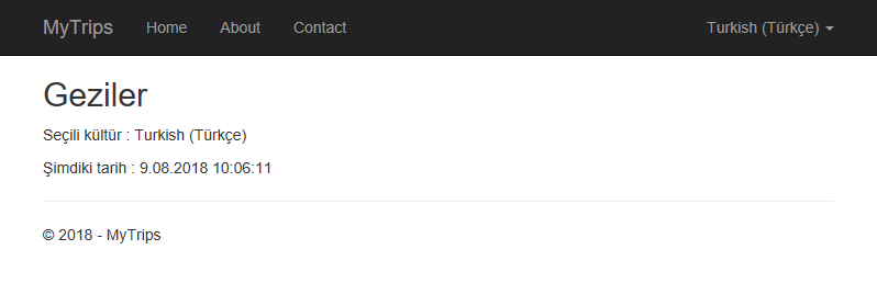 turkish localized view